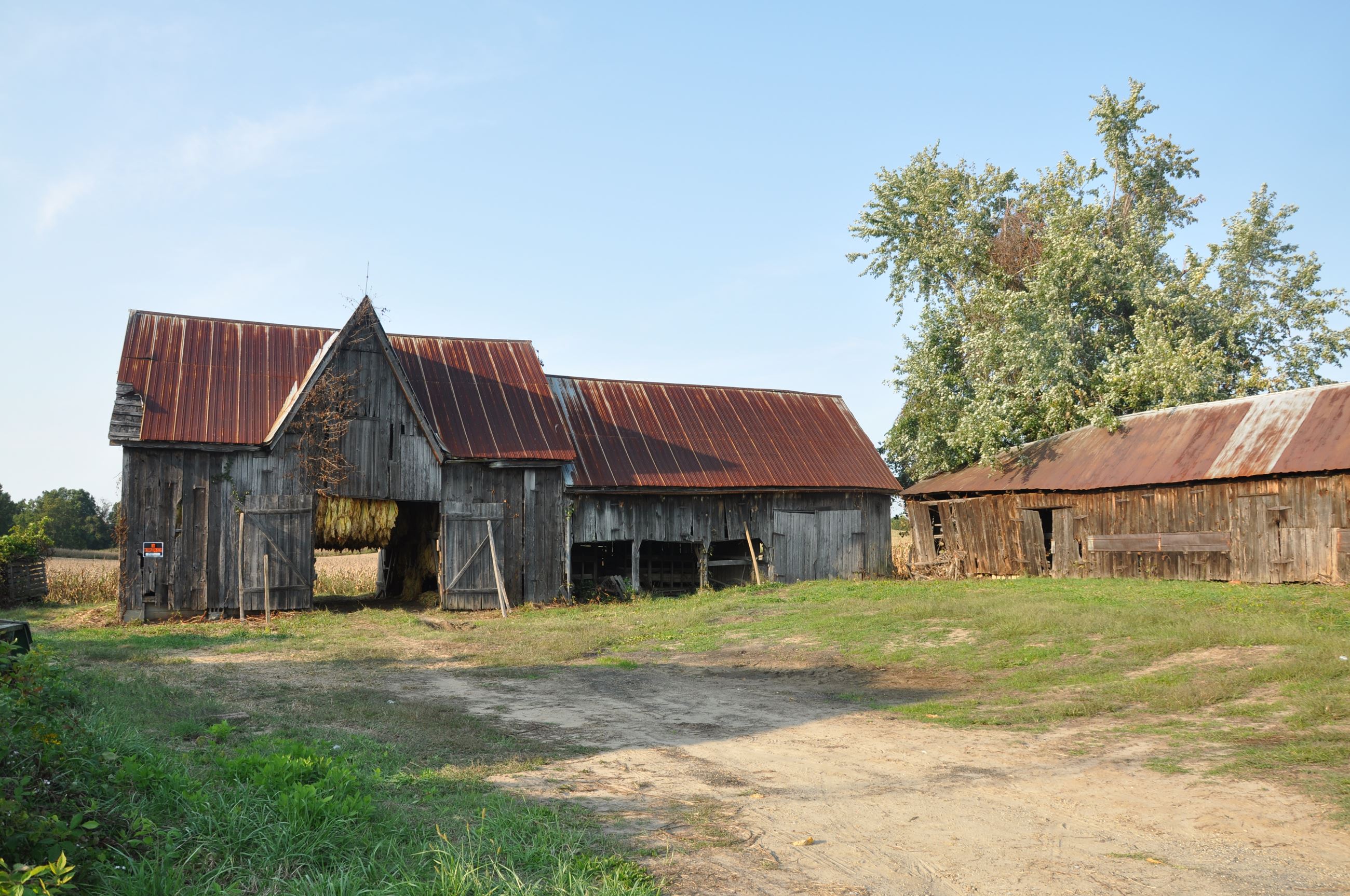 Brady tobacco barn on Chaneyville Rd