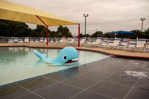 Toddler Pool at Cove Point Pool