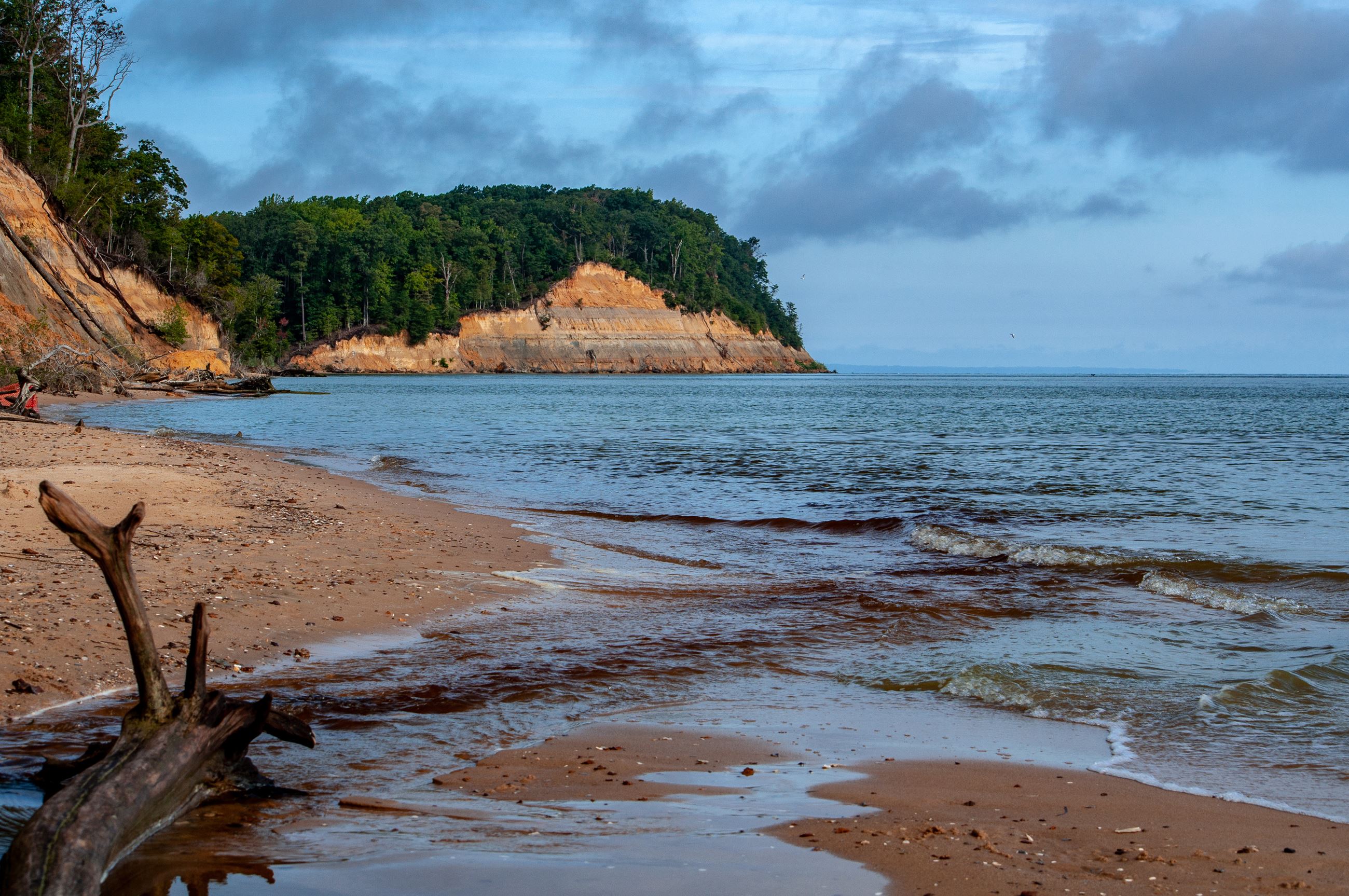 View of Calvert Cliffs