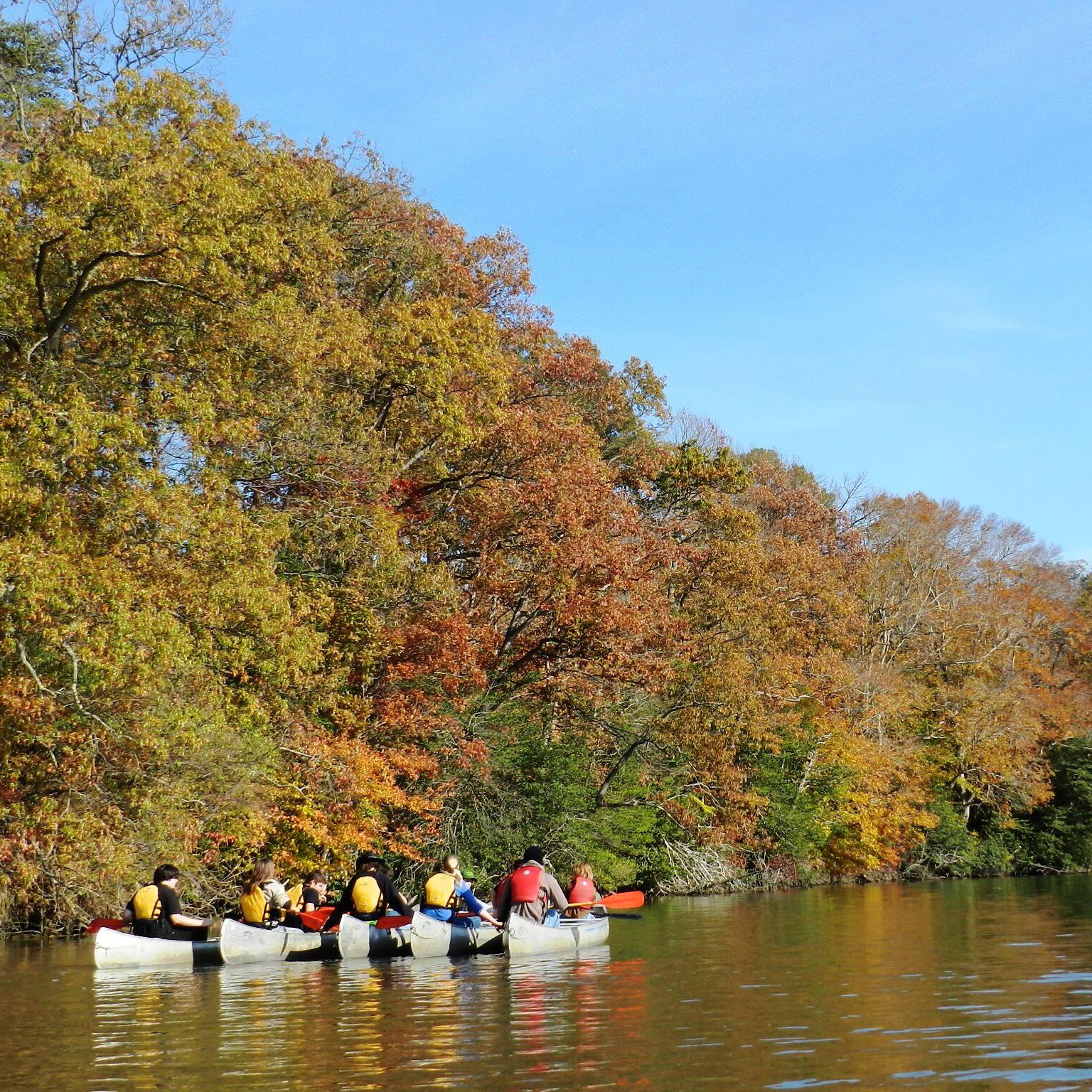Kayakers at Kings Landing