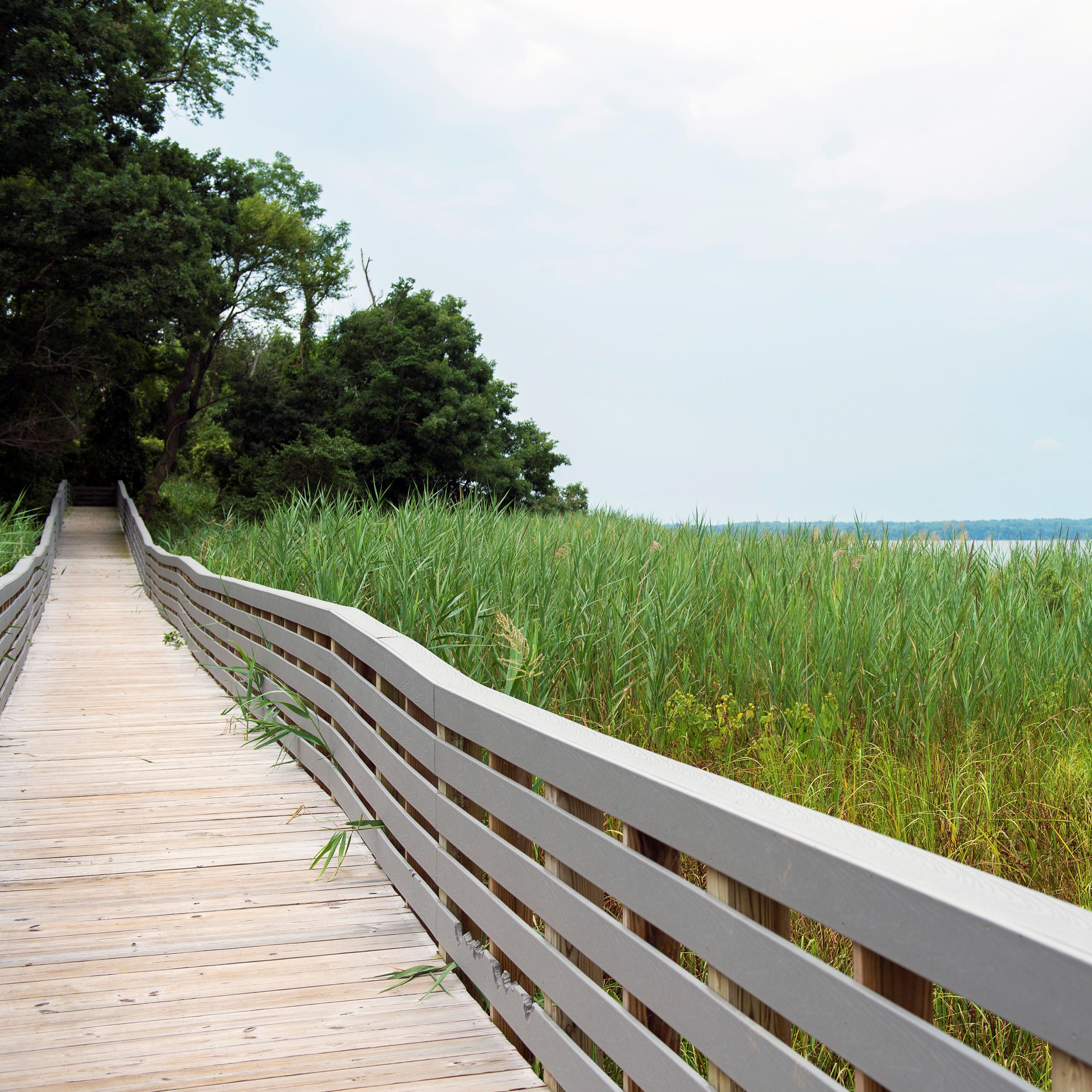 Jefferson Patterson Park trail
