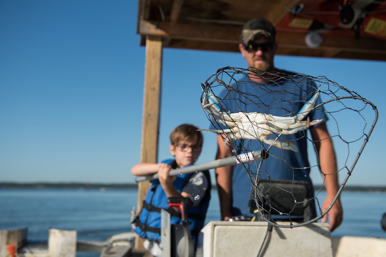 Man and child on a boat with a crab in a net