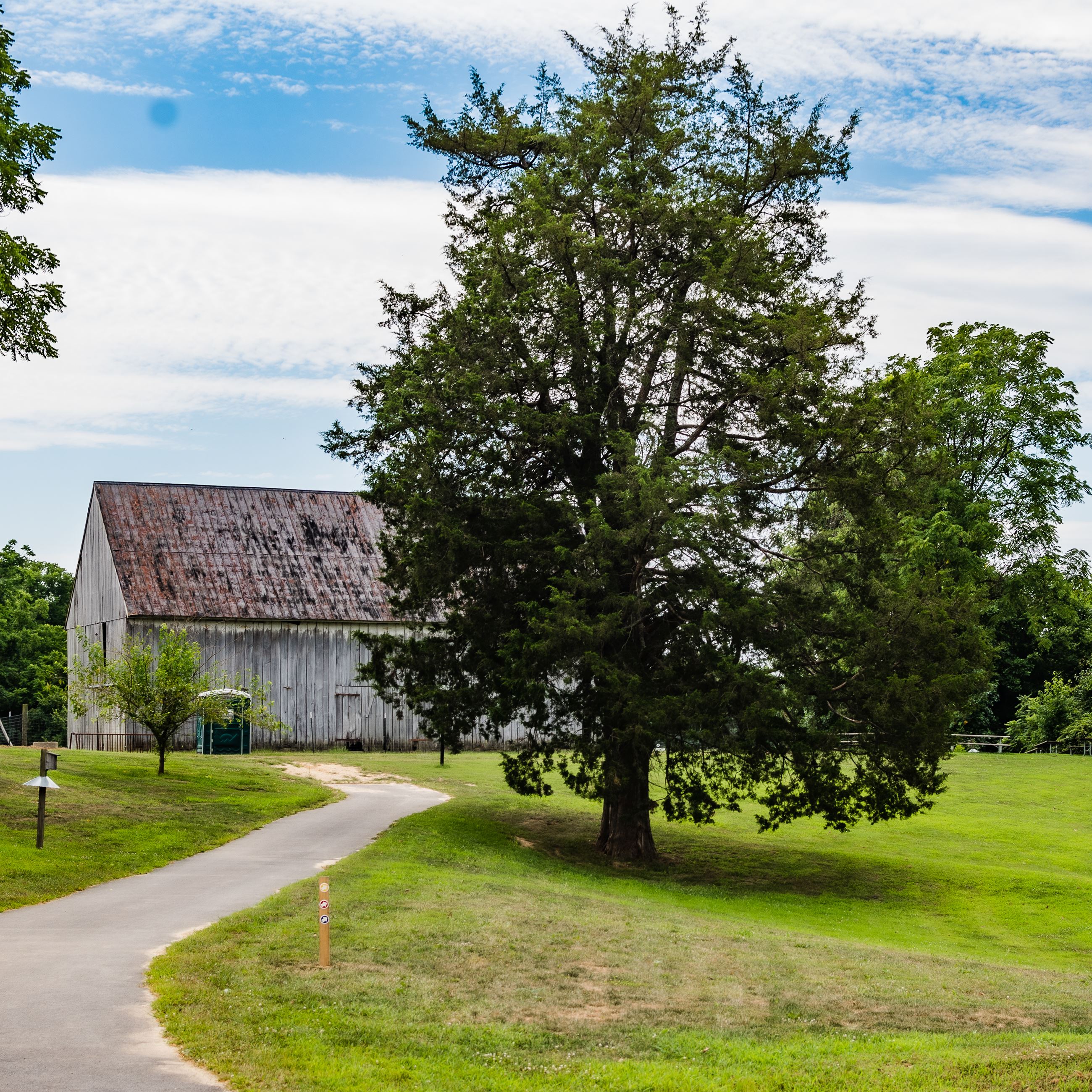 Trail leading to a large brown barn with a tree to the right