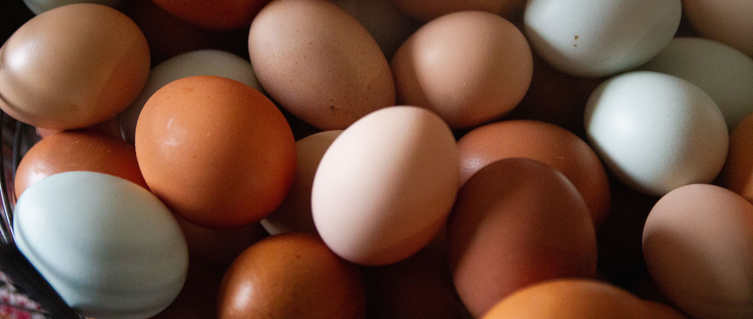 Multicolored Eggs in Wire Basket, Close Up