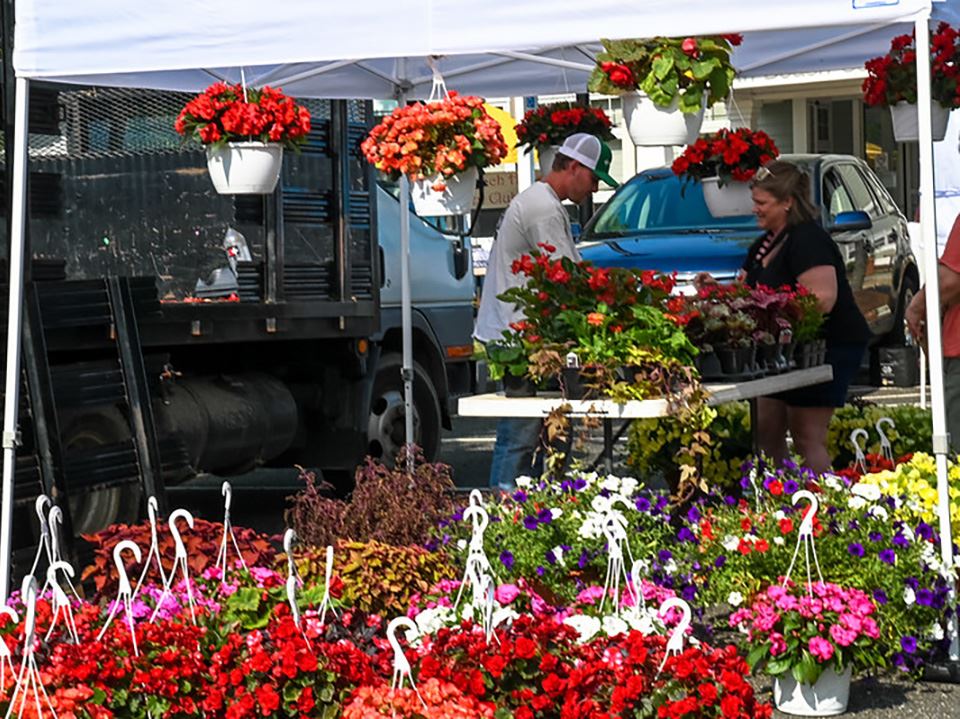 Farmers market vendor under a tent selling flowers