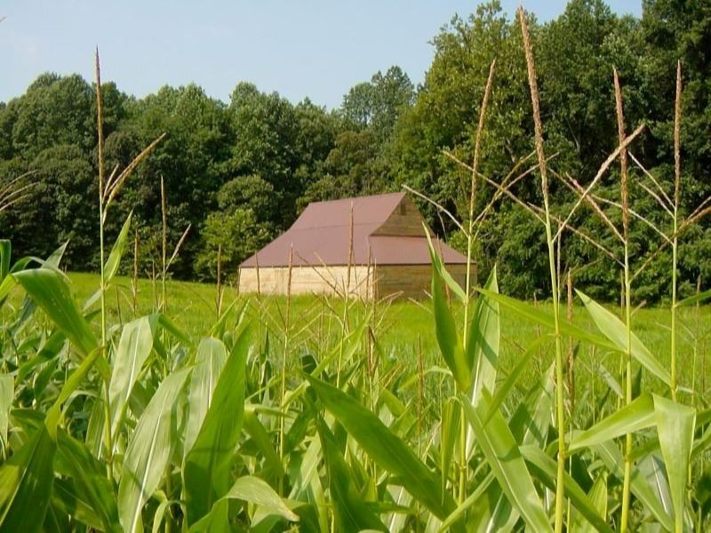 Barn in field at Biscoe Gray Heritage Site