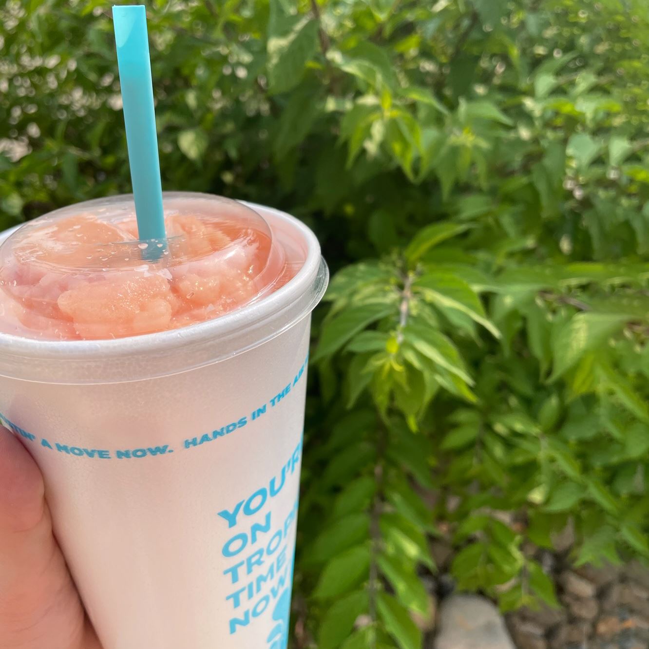 Pink smoothie in a white cup with plants behind it