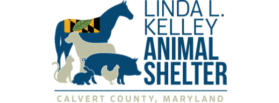 Calvert County MD Animal Services Homepage