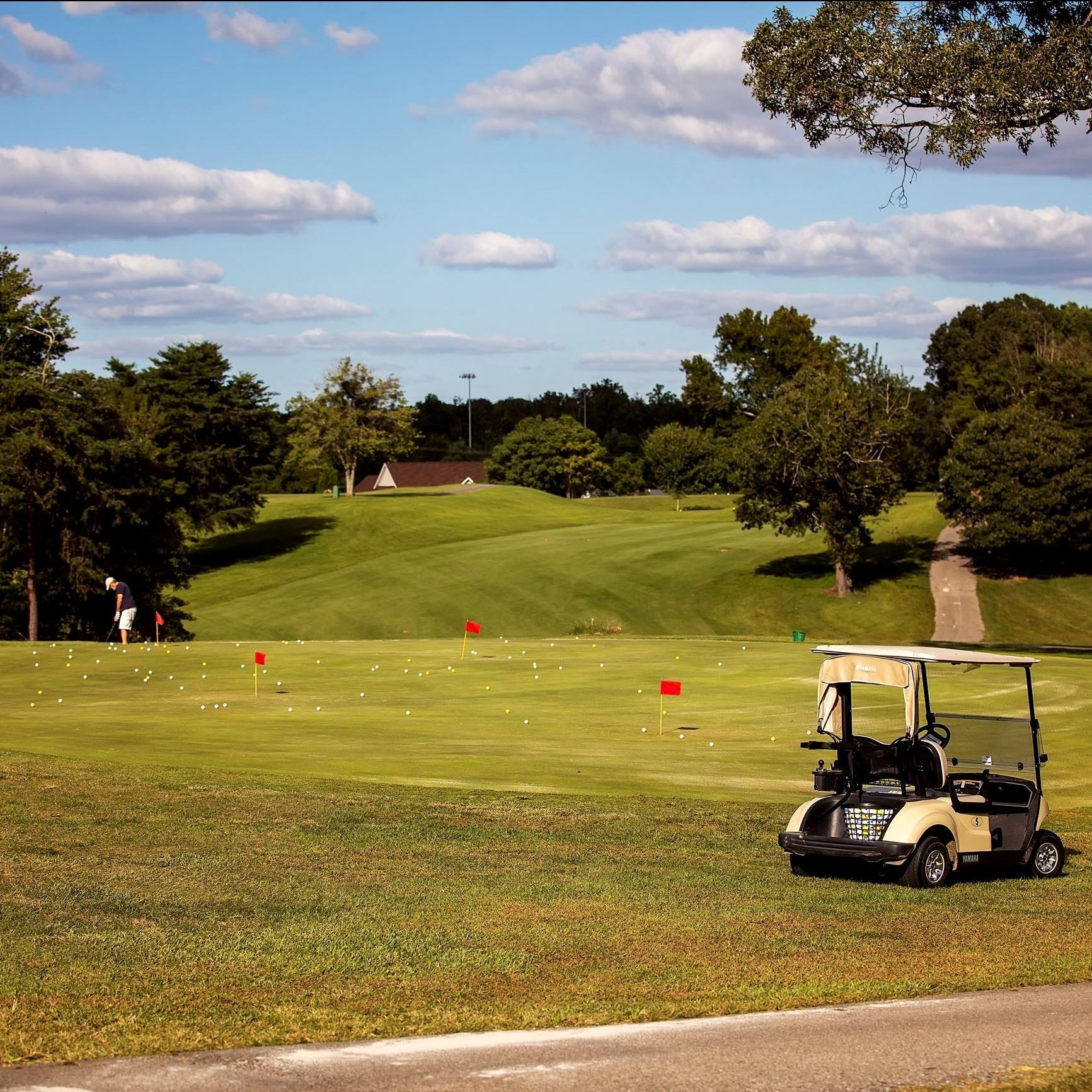 Golf Cart on the course at Chesapeake Hills