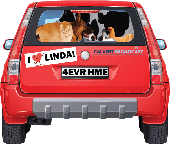 Cartoon car full of animals