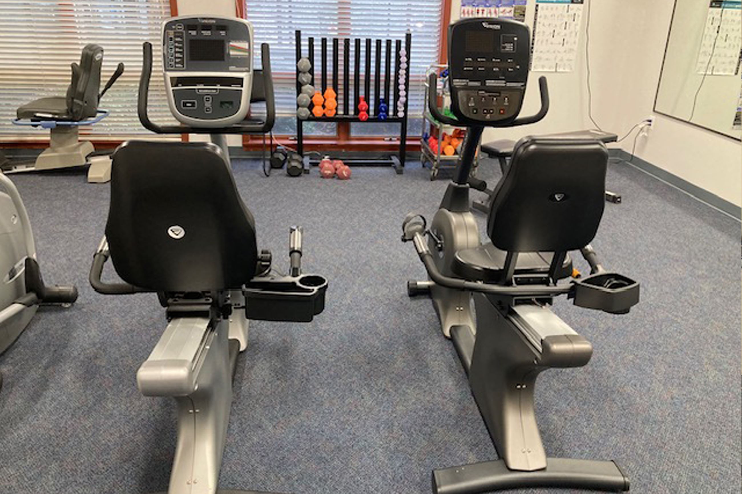 Exercise bikes and weights