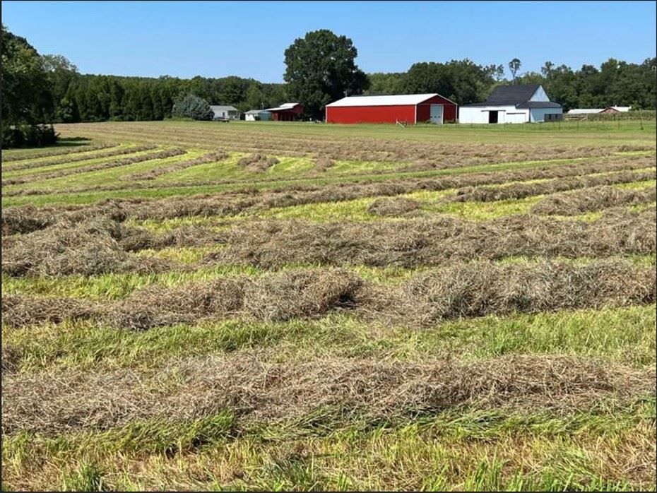 Lucas Hatfield Said_Middle_1st Place