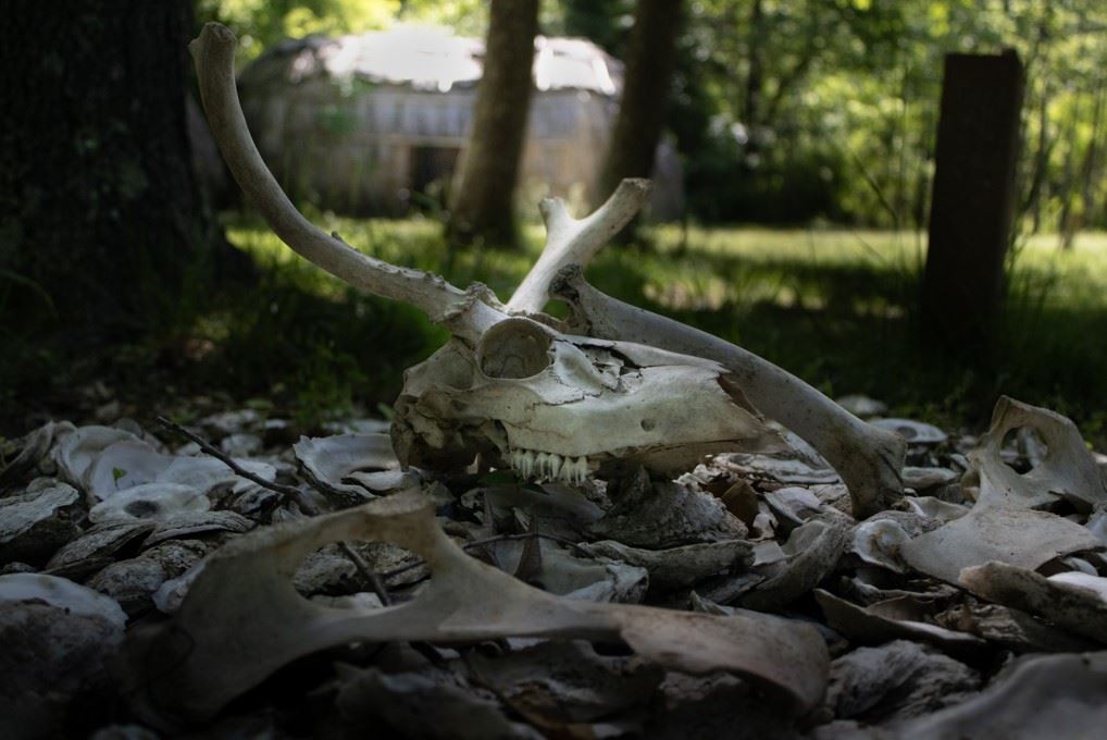 Blake Staudinger_High_2nd Place