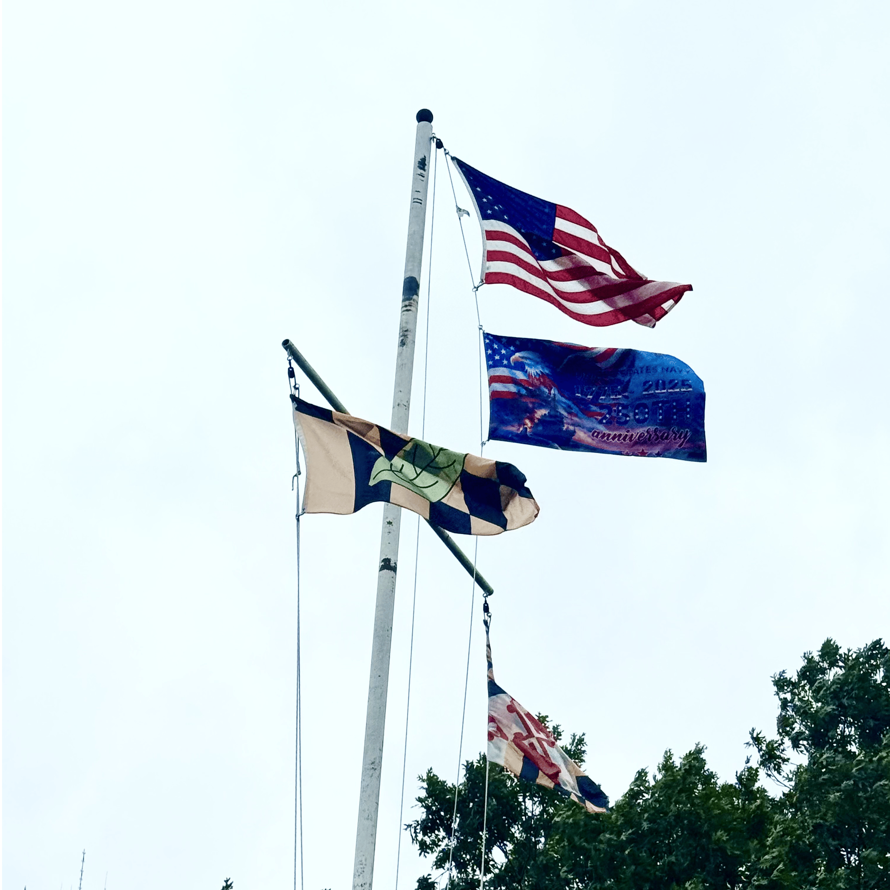 flags on flagpole