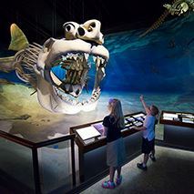 "" Opens in new window