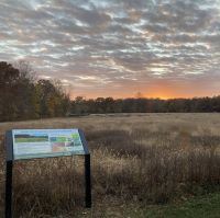 Gate Wood Meadow TPC