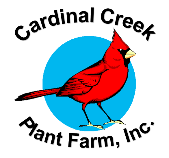 Cardinal Creek logo with red bird